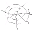 200 spider silk